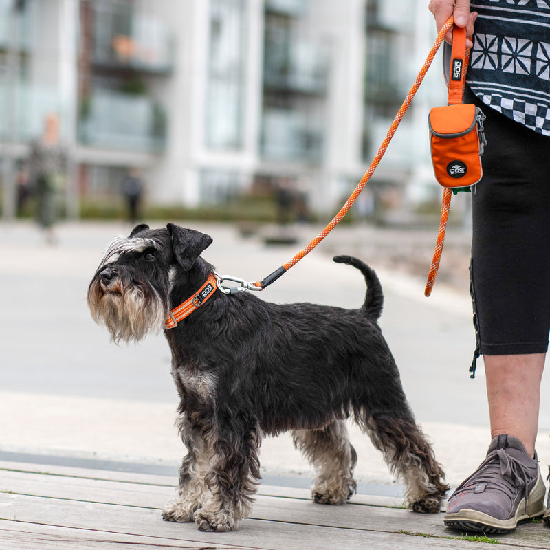 NEW Dog Copenhagen Urban Rope™ Leash V3.0