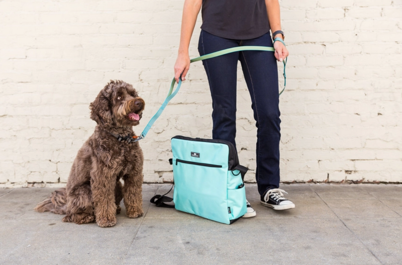 Sleepypod Go Bag – Harbour City Dog Gear - Main Image