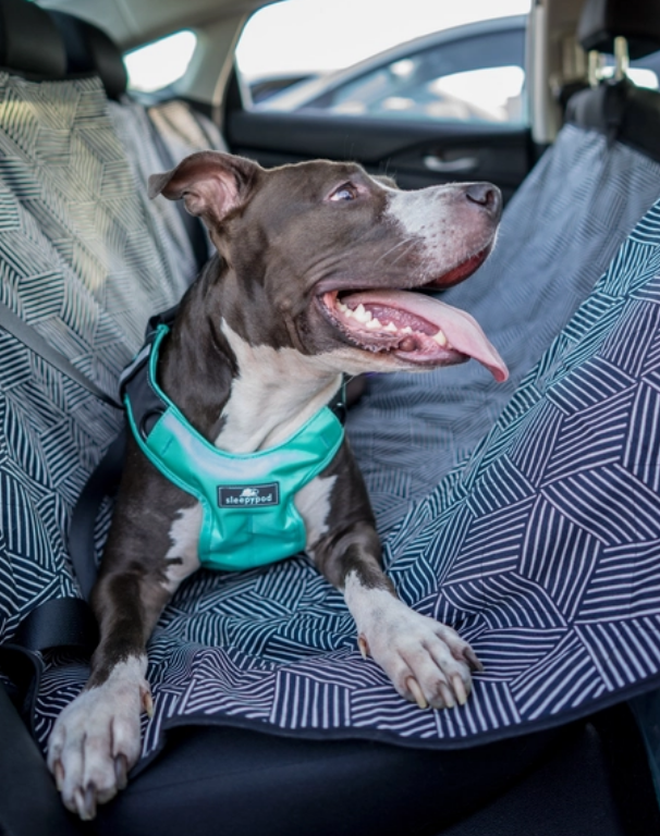 Clickit dog harness outlet