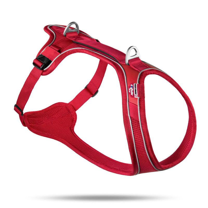 Curli belka harness online