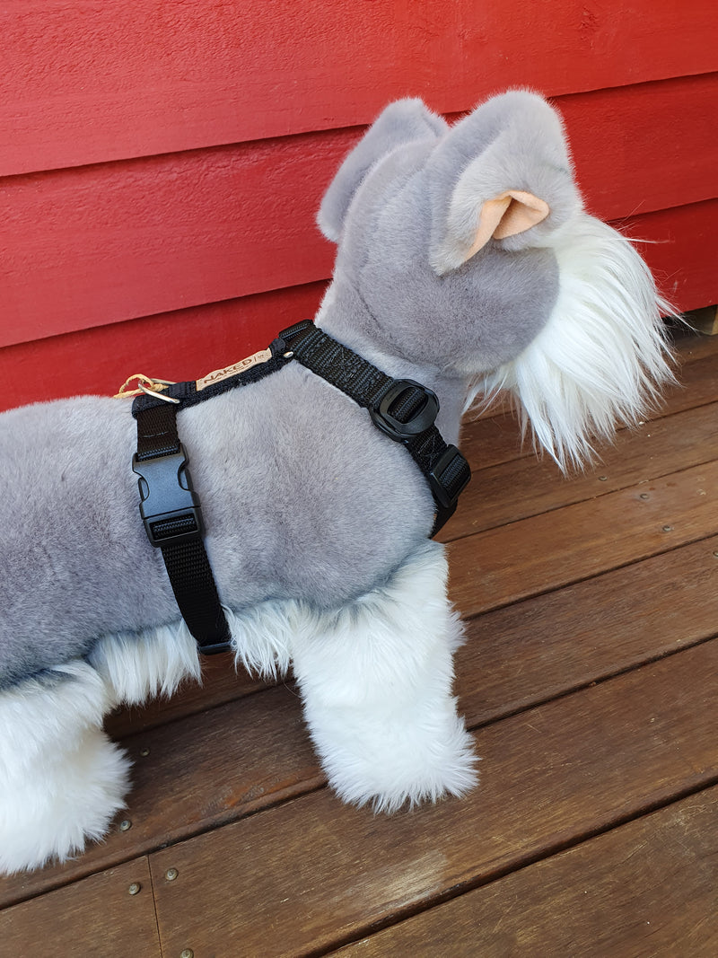 Naked harness with front clips (buckles) – Harbour City Dog Gear