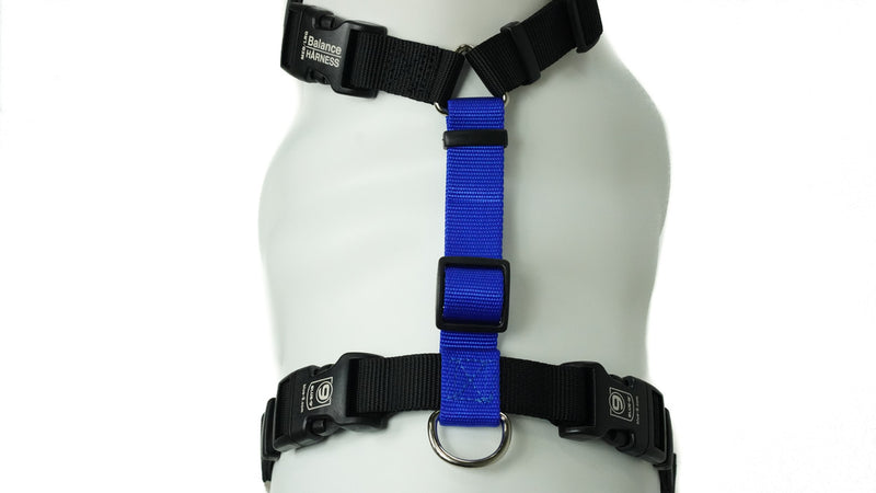 Blue 9 hotsell balance harness australia