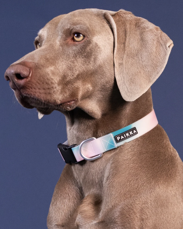 Collars