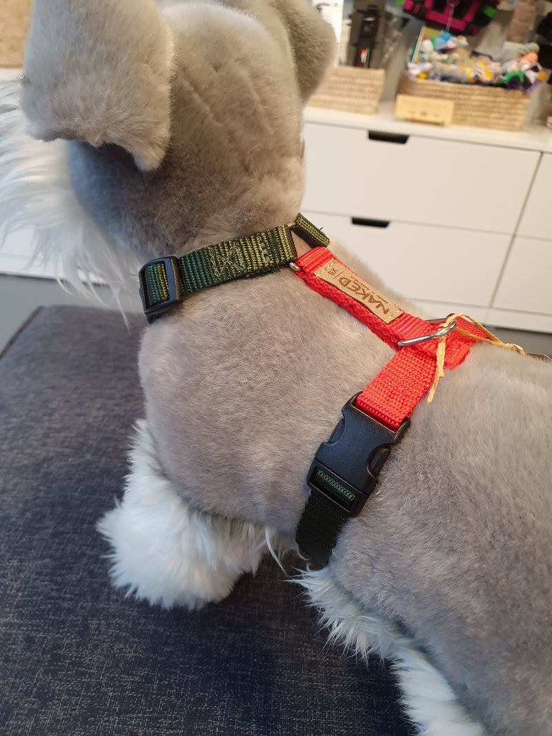 Naked harness - standard, 2-colour