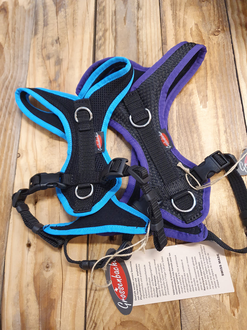 Grossenbacher Fun Run Harness