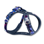 Twiggy Tags Apex® Harness