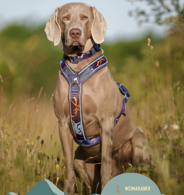 Twiggy Tags Apex® Harness