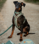 Twiggy Tags Apex® Harness
