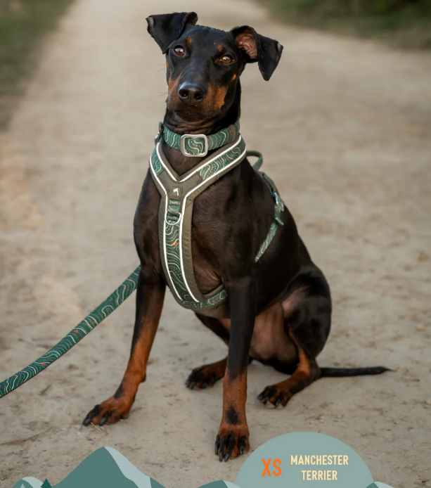 Twiggy Tags Apex® Harness