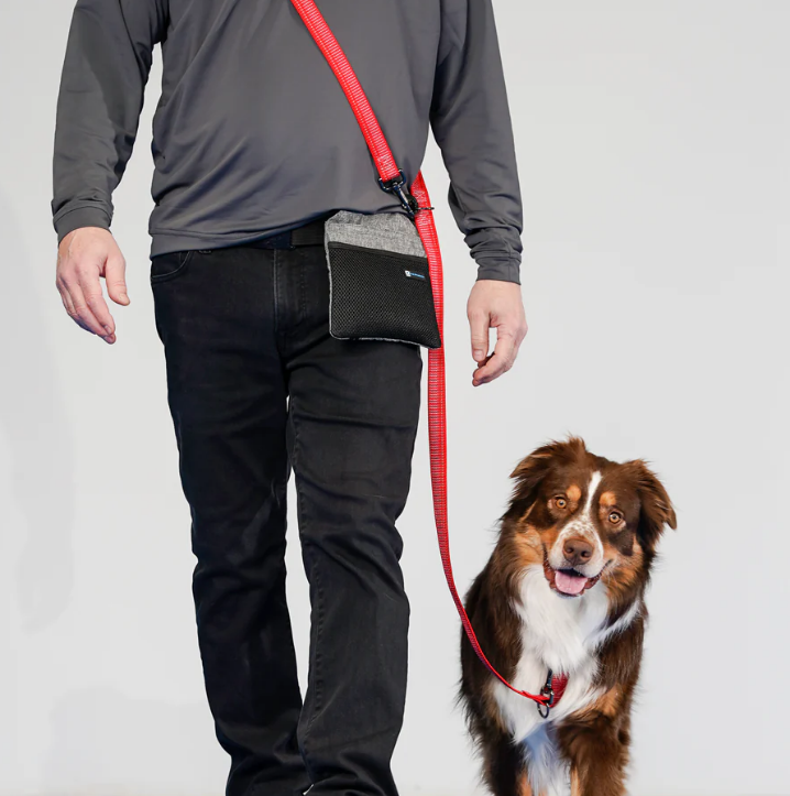 Blue-9 Multi-Function Leash-REFLECTIVE