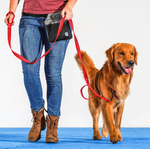 Blue-9 Single Ended REFLECTIVE Leash