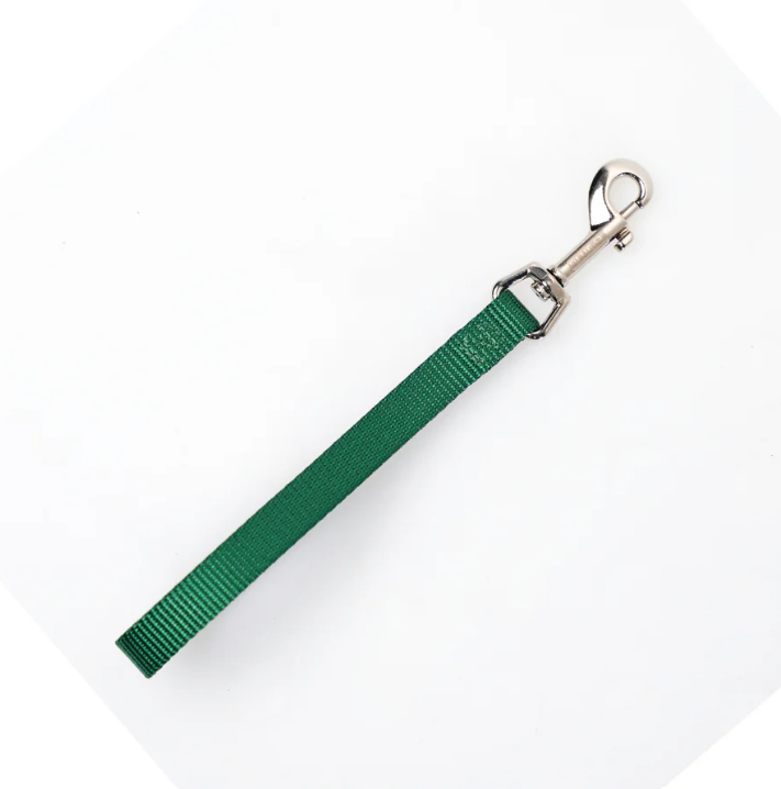 Blue-9 Tab Leash