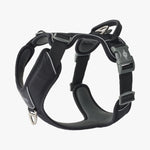 NEW Dog Copenhagen Comfort Walk Pro V3.0