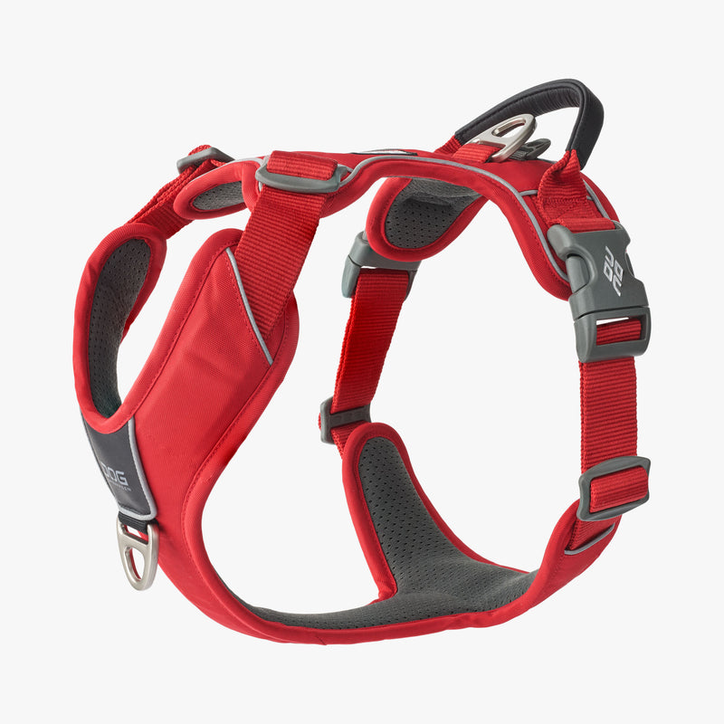 NEW Dog Copenhagen Comfort Walk Pro V3.0