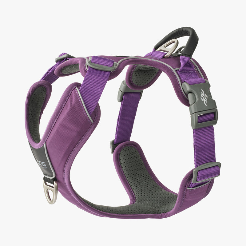 NEW Dog Copenhagen Comfort Walk Pro V3.0