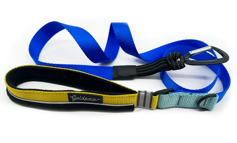 Featherweight Leash