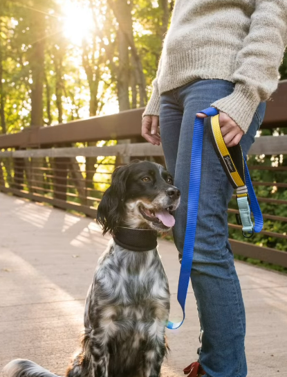 Featherweight Leash