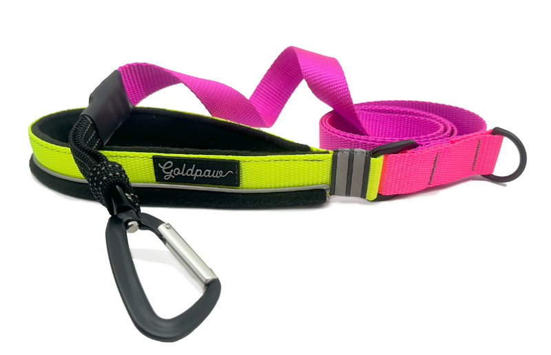 Featherweight Leash