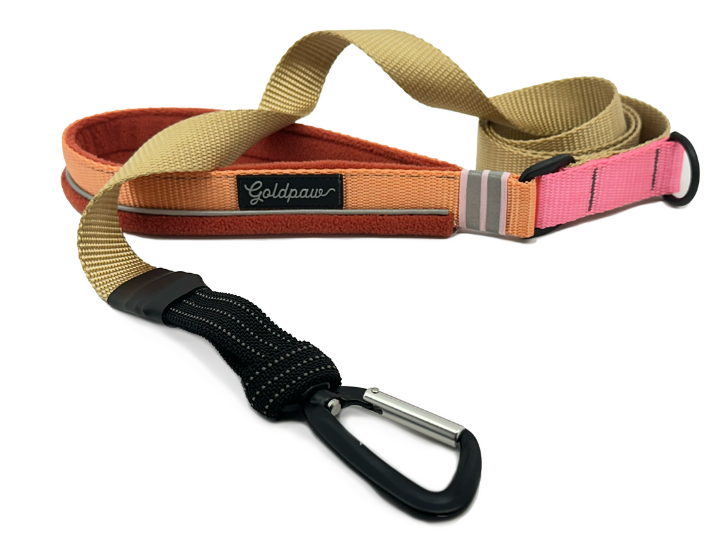 Featherweight Leash