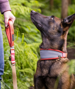 Featherweight Leash
