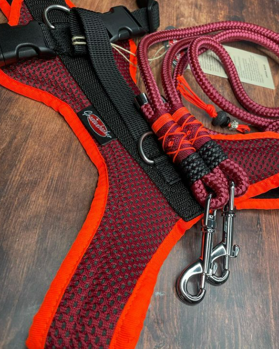 Grossenbacher Fun Run Harness