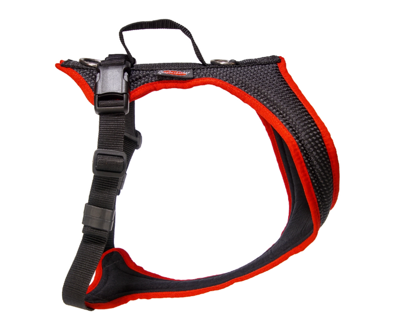 Grossenbacher Fun Run Harness