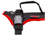 Grossenbacher Fun Run Harness