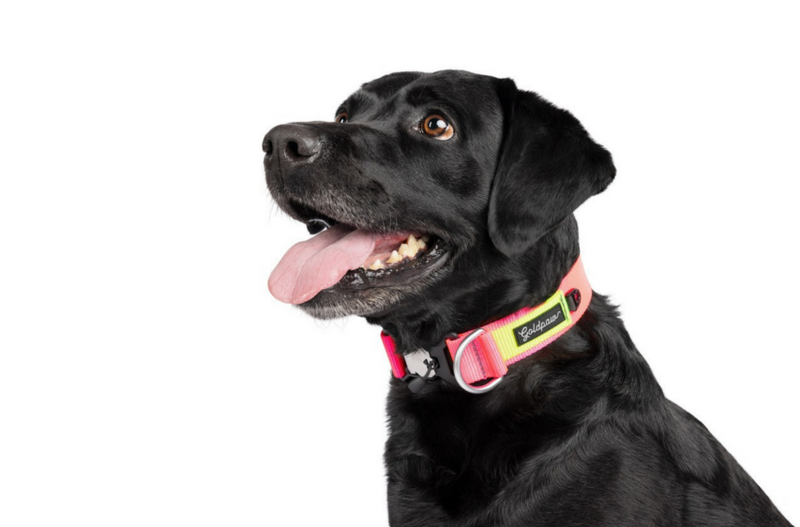 Featherweight Swiftlock Collar