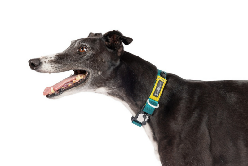 Featherweight Swiftlock Collar