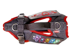 Grossenbacher Fun Run "Patch" Harness