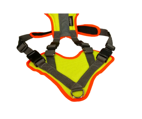 Grossenbacher Mantrailing V Harness + LEDs