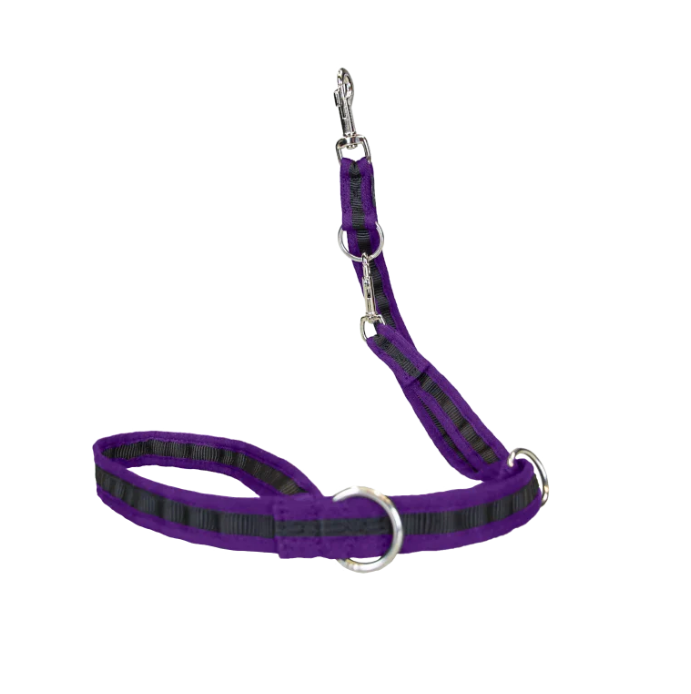 Grossenbacher Adjustable Leash