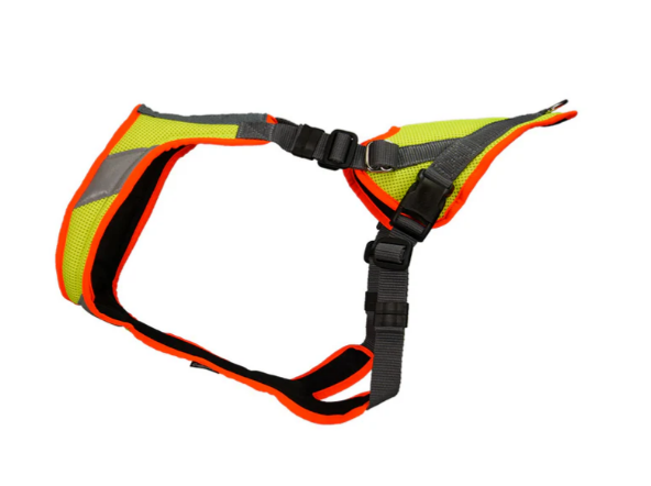 Grossenbacher Mantrailing V Harness with Reflectors