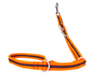 Grossenbacher 2m Multi-function Leash