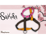 Haqihana Harness - Sakura Limited Edition