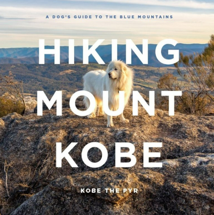 Hiking Mount Kobe - Kobe the Pyr