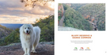 Hiking Mount Kobe - Kobe the Pyr