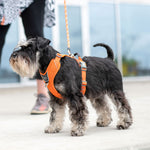 Dog Copenhagen Comfort Walk Pro™ V3.0