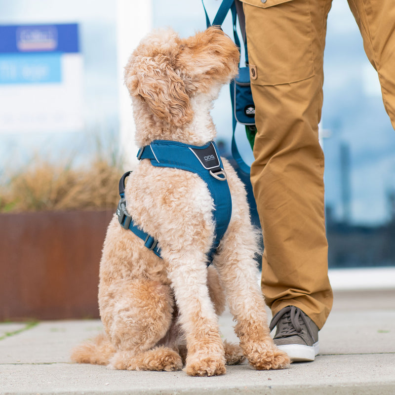 Dog Copenhagen Comfort Walk Pro™ V3.0