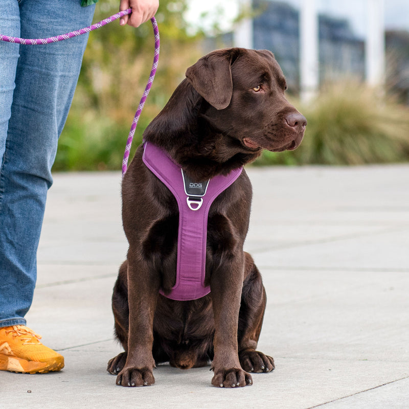 Dog Copenhagen Comfort Walk Pro™ V3.0