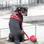 NEW Dog Copenhagen Comfort Walk Pro V3.0