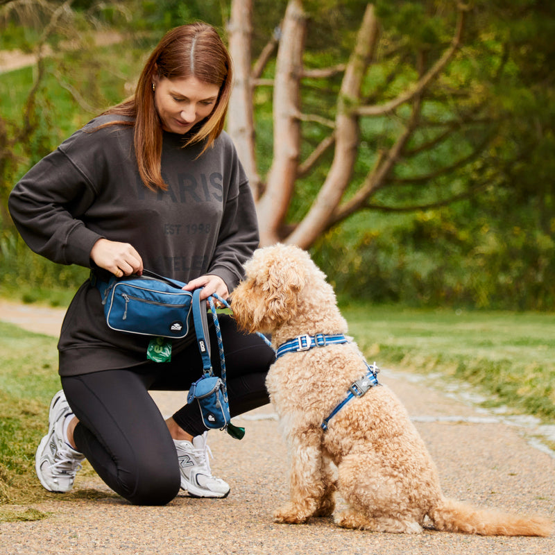 Dog Copenhagen Go Explore™ Belt Bag