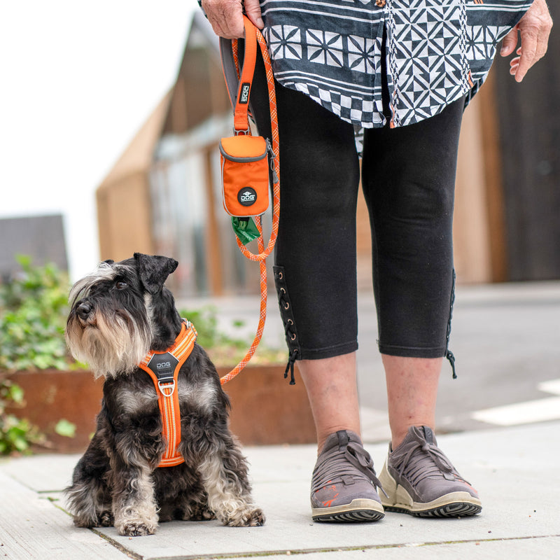 Dog Copenhagen Pouch Organiser™  Leash Bag V3.0