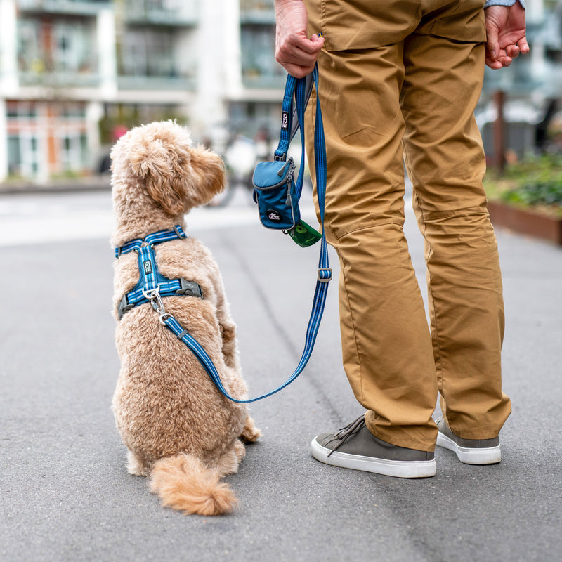 NEW Dog Copenhagen Urban Freestyle Leash V3.0