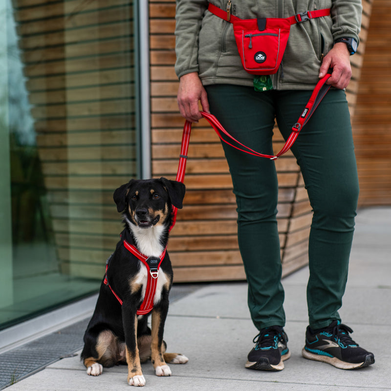 Dog Copenhagen Urban Freestyle Leash V3.0