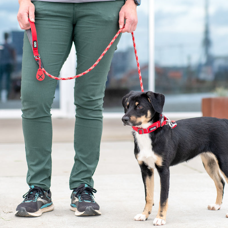 NEW Dog Copenhagen Urban Rope™ Leash V3.0