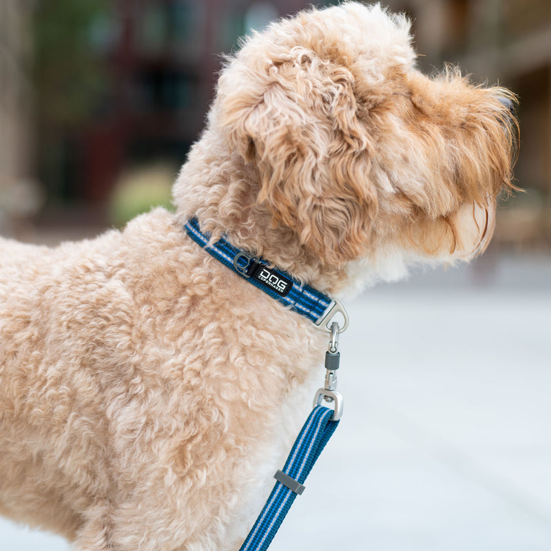 Dog Copenhagen Urban Style Collar V3.0