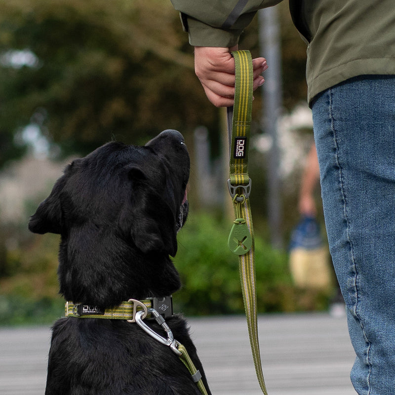 Dog Copenhagen Urban Style Collar V3.0