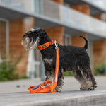 Dog Copenhagen Urban Trail™ Leash V3.0