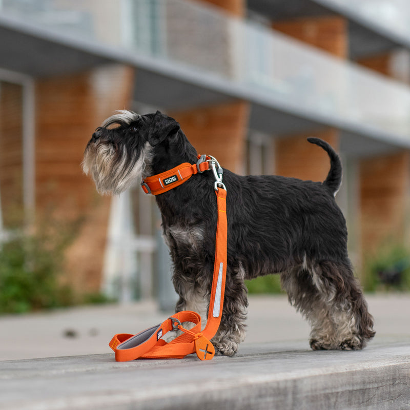 Dog Copenhagen Urban Trail™ Leash V3.0